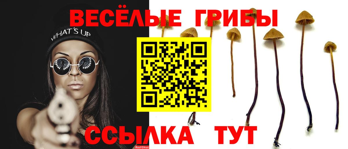 Галлюциногенные грибы мухоморы Красноярск