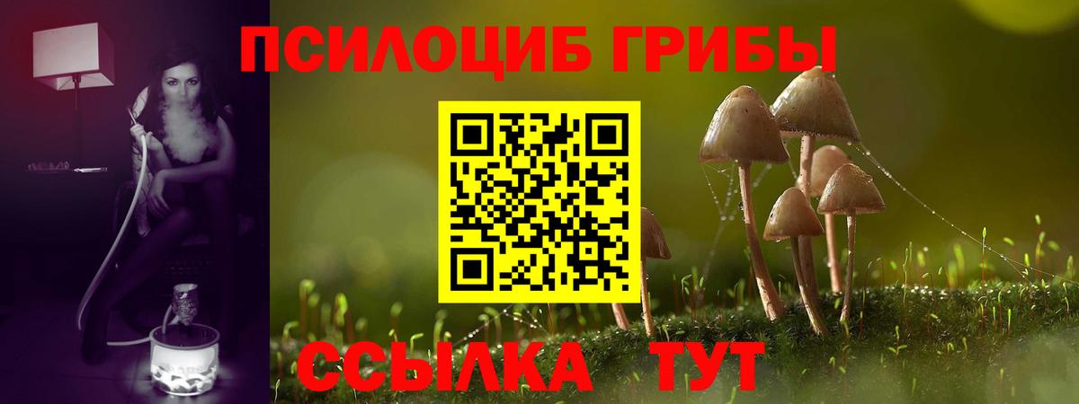 наркотики  Псилоцибиновые грибы Psilocybine cubensis  Вход с VPN  Красноярск 