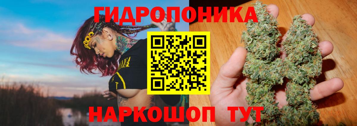 Каннабис White Widow  Канабис THC 21%  Красноярск  Вход с VPN 