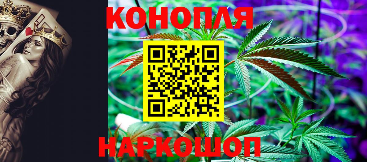 Конопля конопля Красноярск